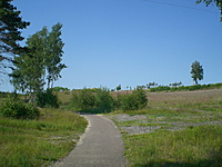 Juodkrante Smiltyne II(dvir) 2010 06 30 055