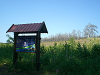 Juodkrante Smiltyne II(dvir) 2010 06 30 058