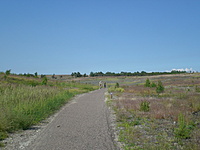 Juodkrante Smiltyne II(dvir) 2010 06 30 061
