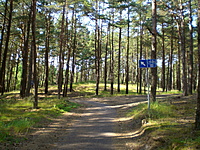 Juodkrante Smiltyne II(dvir) 2010 06 30 063