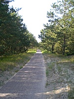 Juodkrante Smiltyne II(dvir) 2010 06 30 068