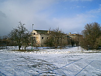 Nemuno g 2011 02 12 027