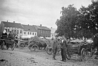 Šilutė45