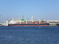 Laivai 2011 03 10 009