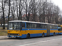 P1170347