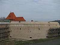 Picture 001 (Medium)