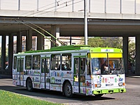 100 7954