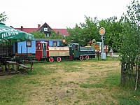 Suvalkų siaurukas