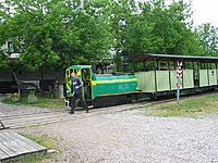 Suvalkų siaurukas