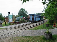 Suvalkų siaurukas