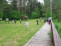 Suvalkų siaurukas