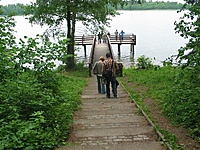 Suvalkų siaurukas