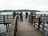 Suvalkų siaurukas