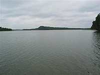 Suvalkų siaurukas