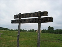 Suvalkų siaurukas