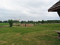 Suvalkų siaurukas