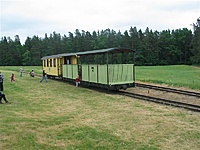 Suvalkų siaurukas