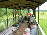 Suvalkų siaurukas