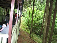 Suvalkų siaurukas