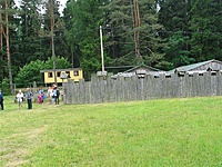 Suvalkų siaurukas