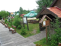 Suvalkų siaurukas