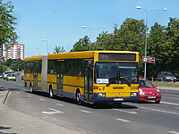 P1180187