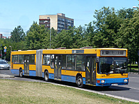 P1180197