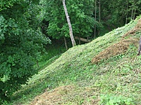 Birštono piliakalnis