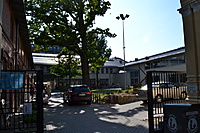 Klaipeda 2011 06 22 005