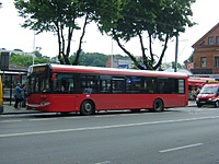 Copy of DSC01251