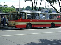 Copy of DSC01259