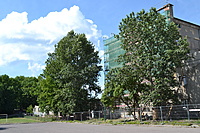 Klaipeda 2011 06 30 002