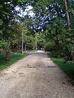 Klaipeda 2011 07 08 003