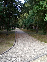 Klaipeda 2011 07 08 004