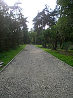 Klaipeda 2011 07 08 005