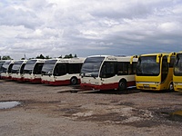 Visi