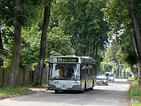 P1180782