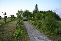 Rimku g dviraciu takas 2011 07 31 017