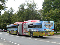 P1190251