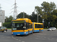 P1190356