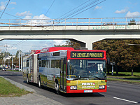P1190425A