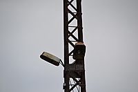 Klaipeda 2011 09 01 094
