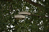 Klaipeda 2011 09 01 104
