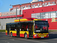 P1190802