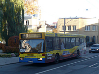 P1190951