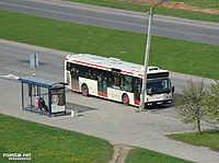 Autobusas.
