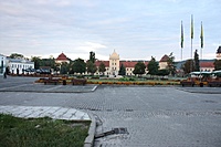 IMG 3516