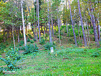 Ginučių - Papiliakalnės piliakalnio papėdė