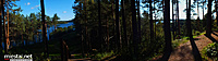 Panorama nuo Ginučių piliakalnio link Ladakalnio