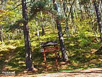Puziniškio piliakalnis